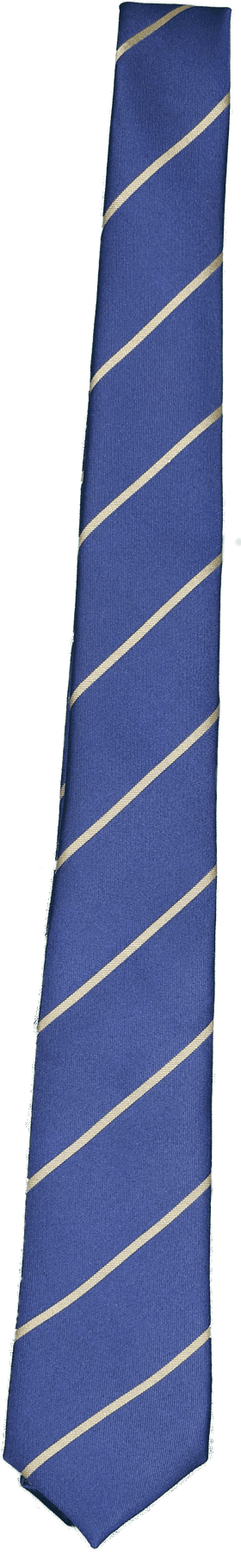 Bhoomi School Tie for Kids