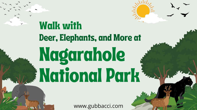 Walk With Deers, Elephants and More At Nagarahole National Park