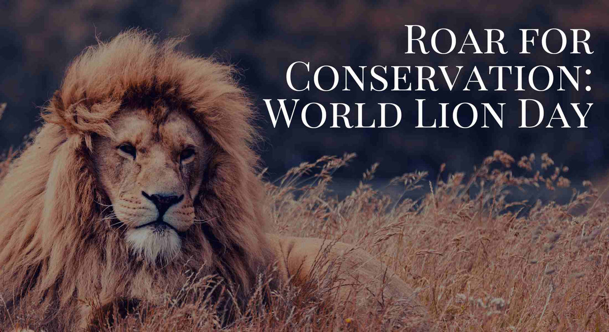 Roar for Conservation: World Lion Day