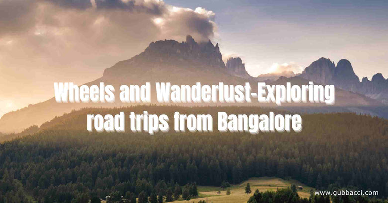 Wheels and Wanderlust-Exploring road trips from Bangalore: Part 1
