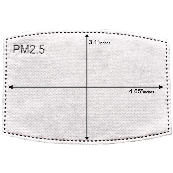 Gubbacci-India Face Mask Gubbacci Premium Plus Face Mask with Nose Clip & PM 2.5 Filter - Arrow Blue
