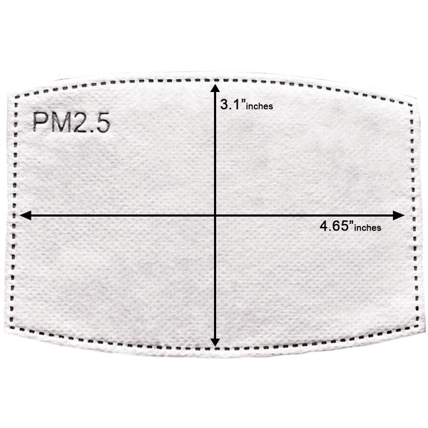 Gubbacci-India Face Mask L / Black Gubbacci Reusable Standard Unisex Face Mask With Replaceable PM2.5 Filter (Black)