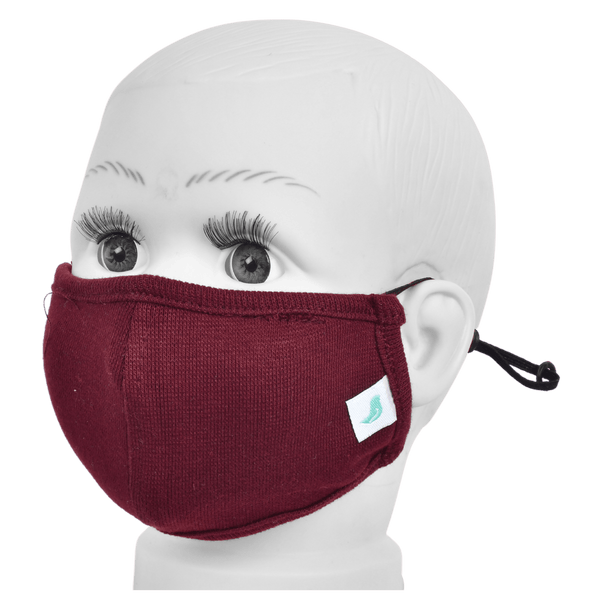 Gubbacci-India Gubbacci Standard Masks for Kids (2-4 Years)- Maroon