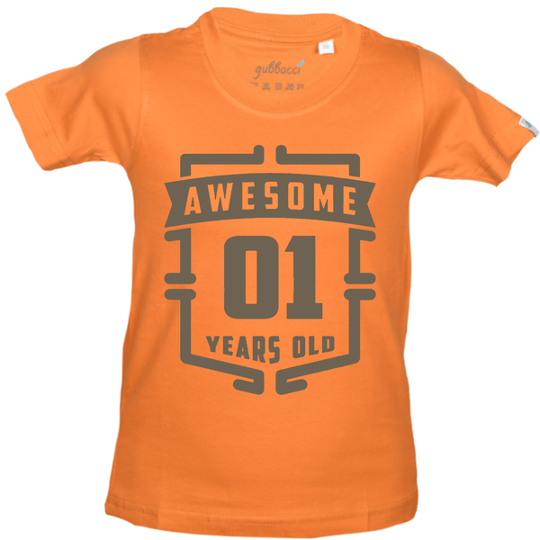 Gubbacci Apparel Kid's T-shirt 18 Awesome 01 Year Old T-Shirt - 1st Birthday Collection Buy Awesome 01 Year Old T-Shirt - 1st Birthday Collection