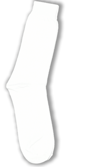 Poorna Vikasa Socks