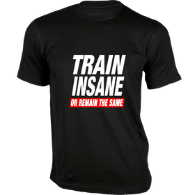 Train Insane or remain the Same - Gym T-Shirt